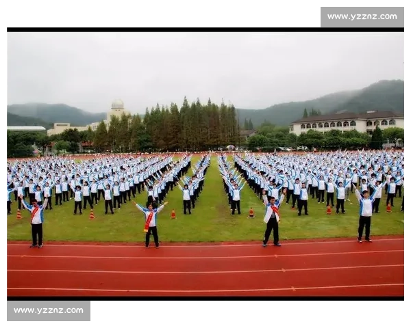 体操冠军奋斗故事背后的坚持与荣耀启示录