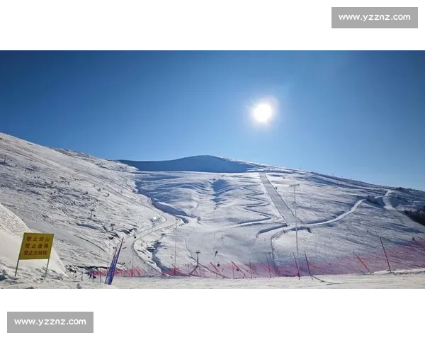 惊险瞬间：滑雪场意外事故背后的安全隐患与教训