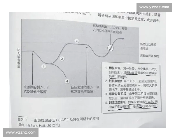 体育数据深度解析与运动表现提升策略研究与应用 体育数据深度解析与运动表现提升策略研究与应用